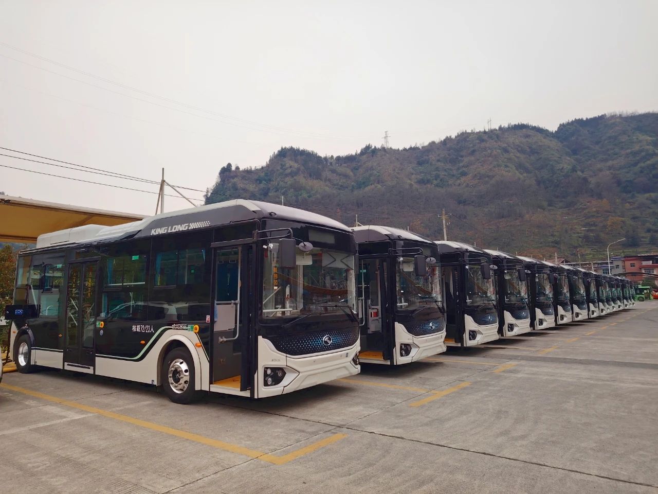 1753545159540 微信图片_20250726144027