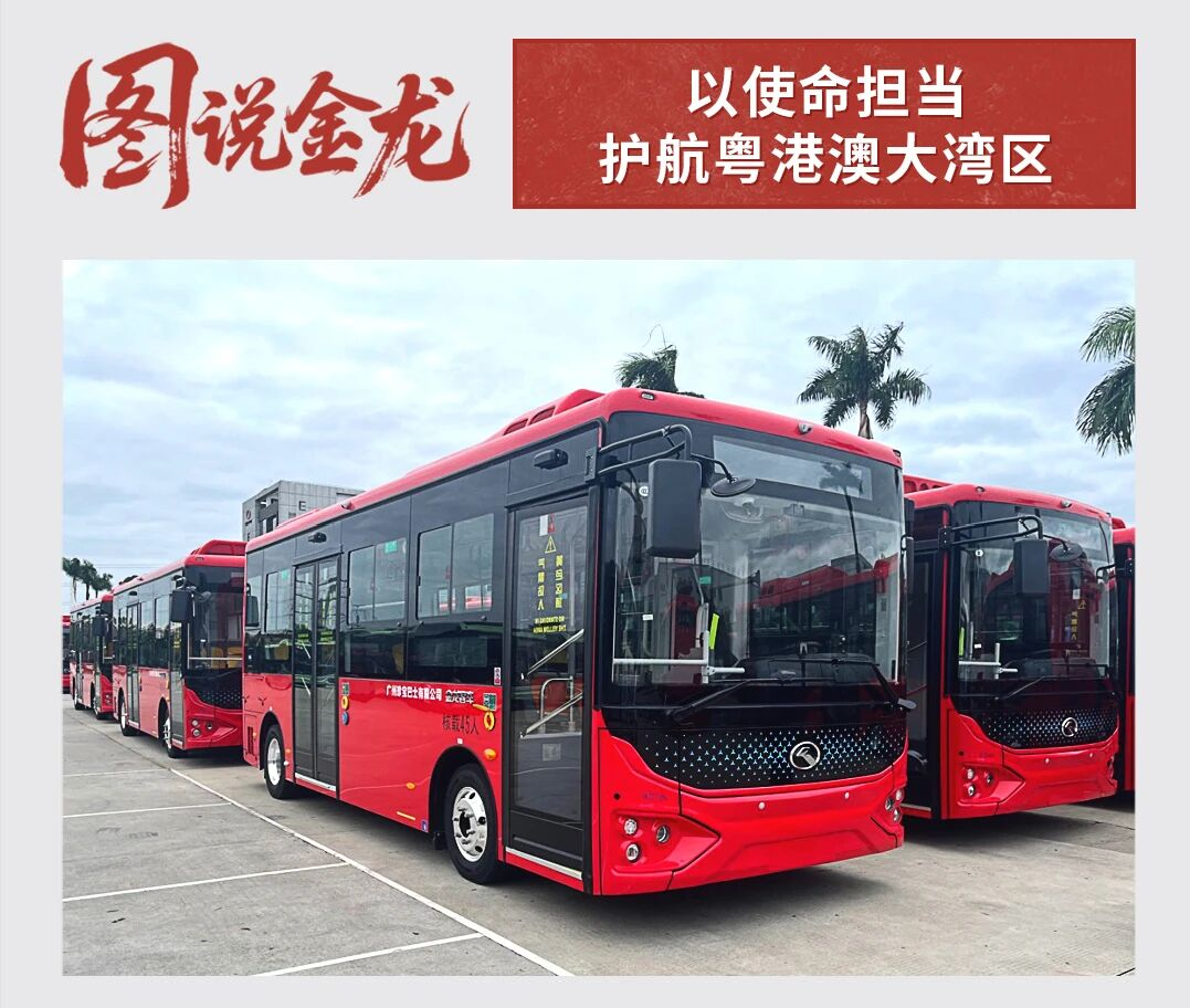 尊凯时龙(中国区)官方网站